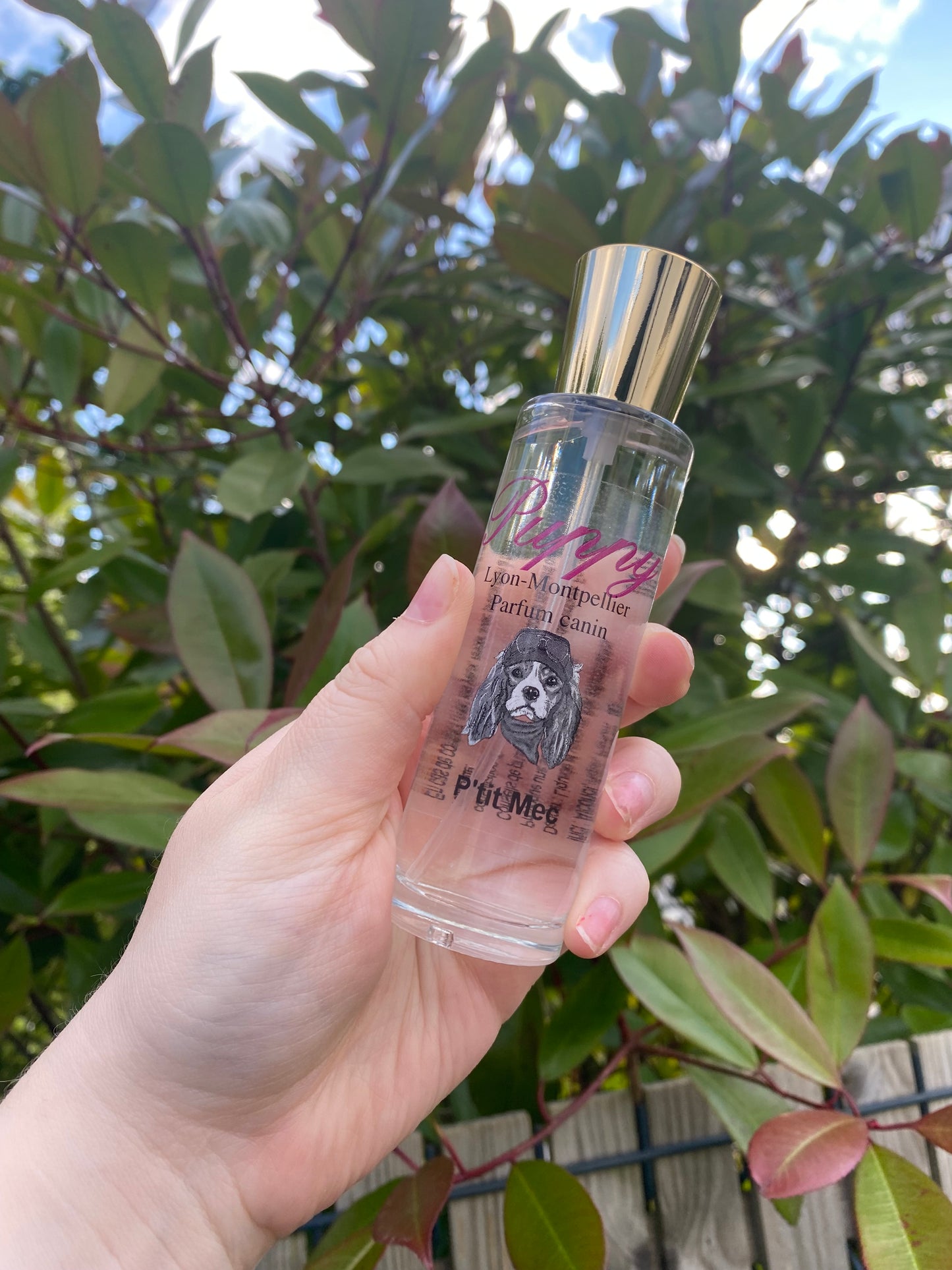 Parfum puppy p’tit mec