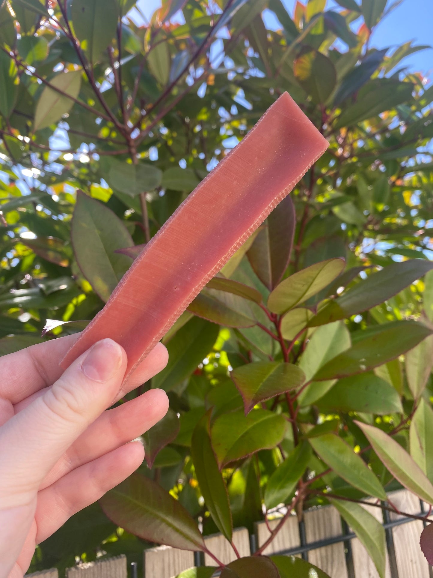 Fromage de Yak à la fraise