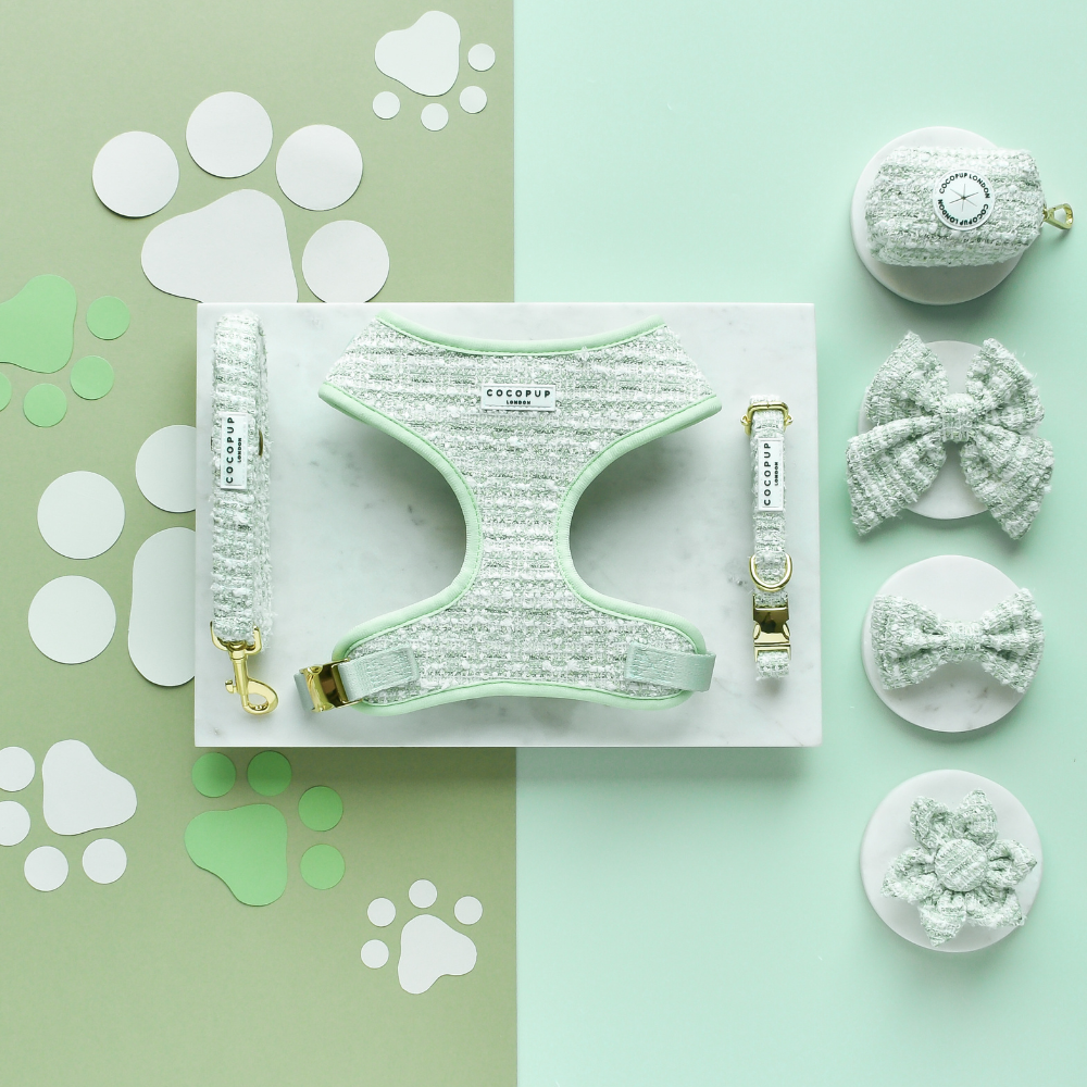 Laisse en tweed texturé Matcha