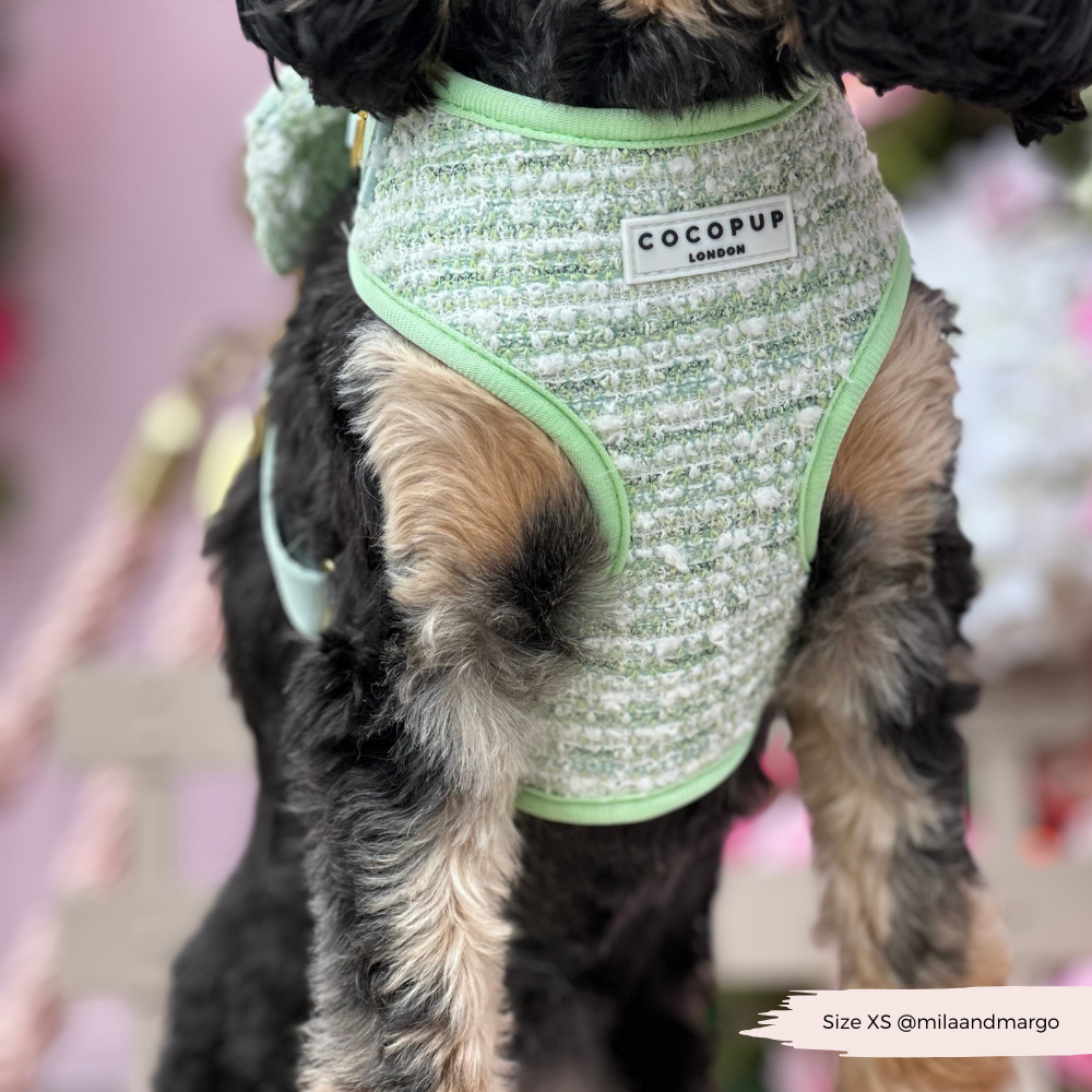 Harnais en tweed texturé Matcha