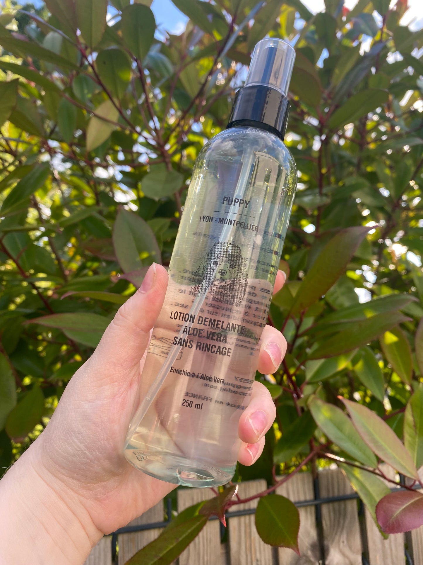 Lotion démêlante sans rinçage à l’aloe vera