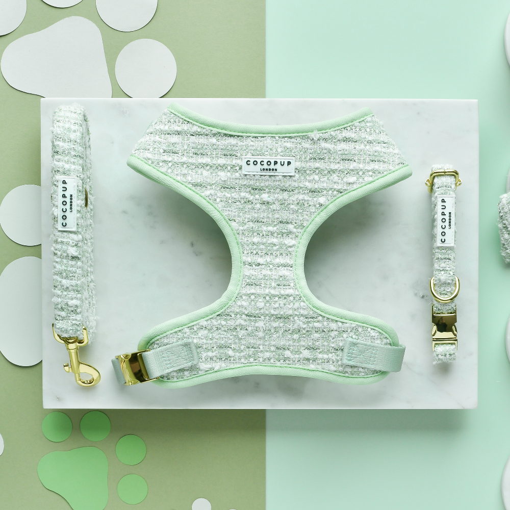 Laisse en tweed texturé Matcha