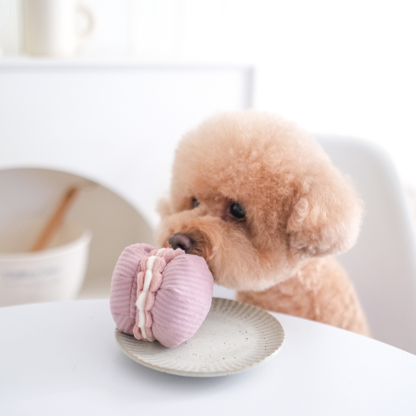 Le macaron et la madeleine