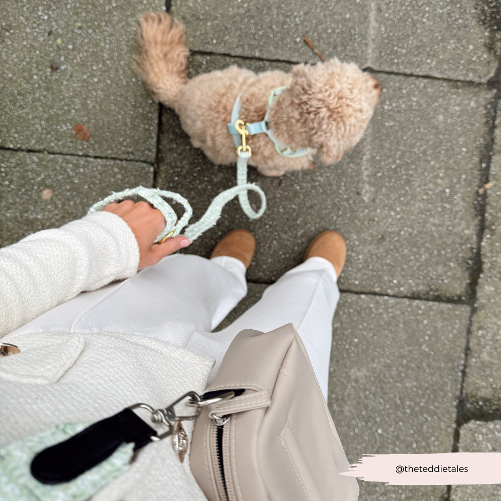 Laisse en tweed texturé Matcha