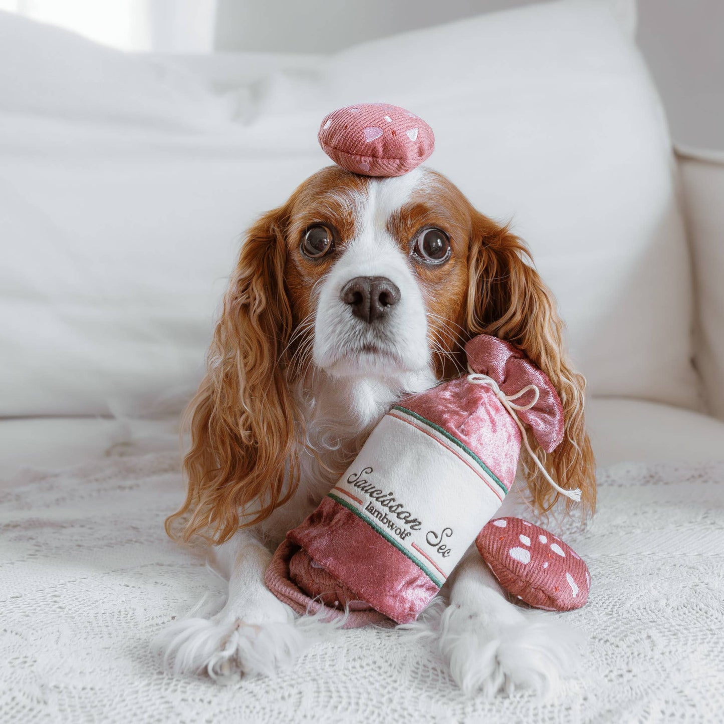 Le Saucisson