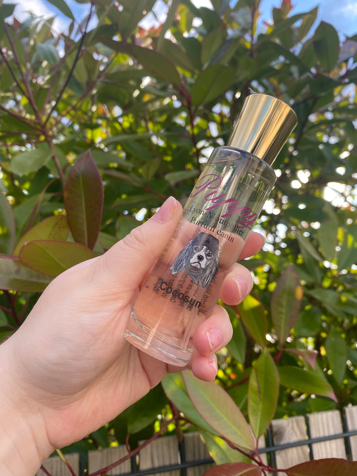 Parfum puppy cocosun