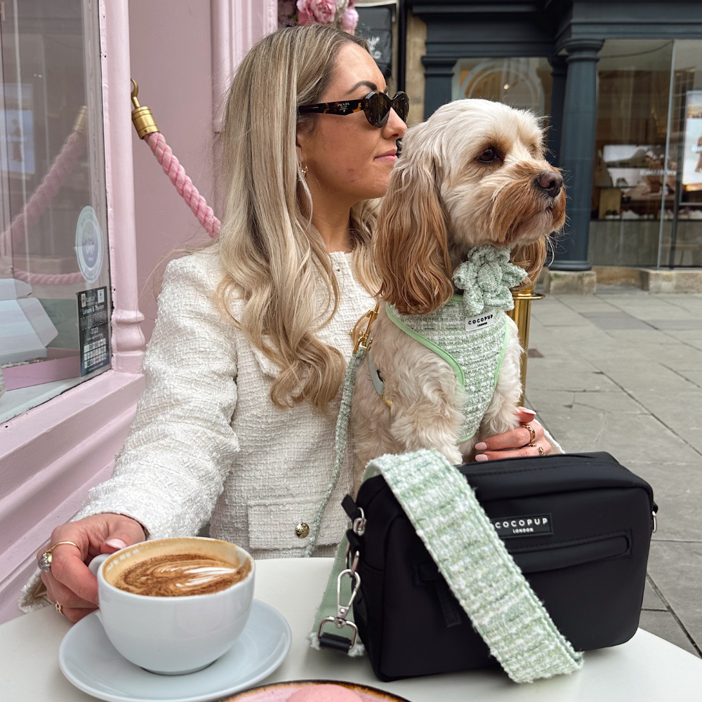 Harnais en tweed texturé Matcha