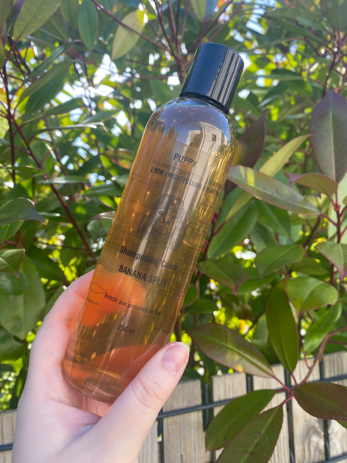 Shampoing banana split