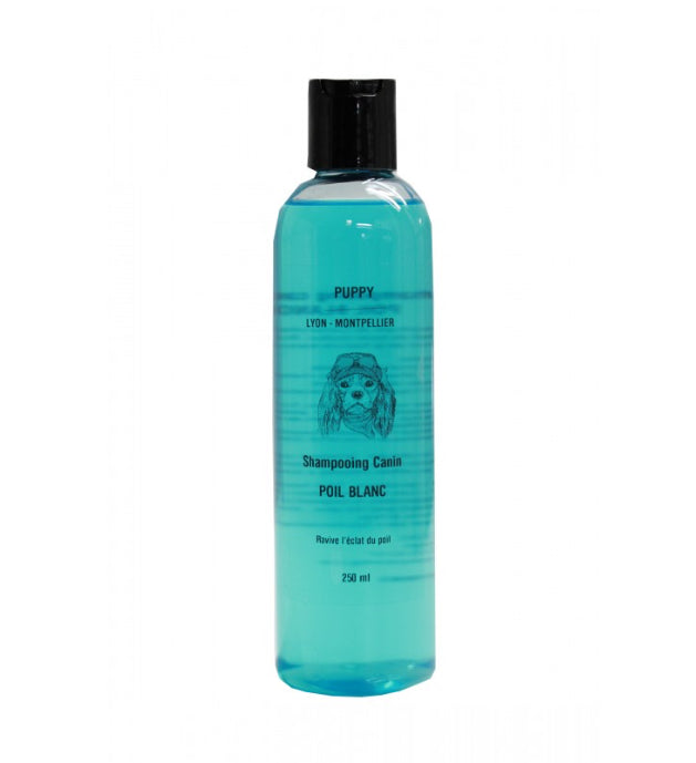 Shampoing poil blanc