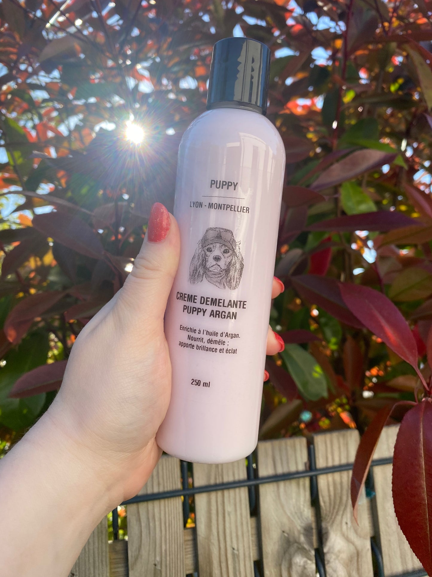 Crème démêlante Argan
