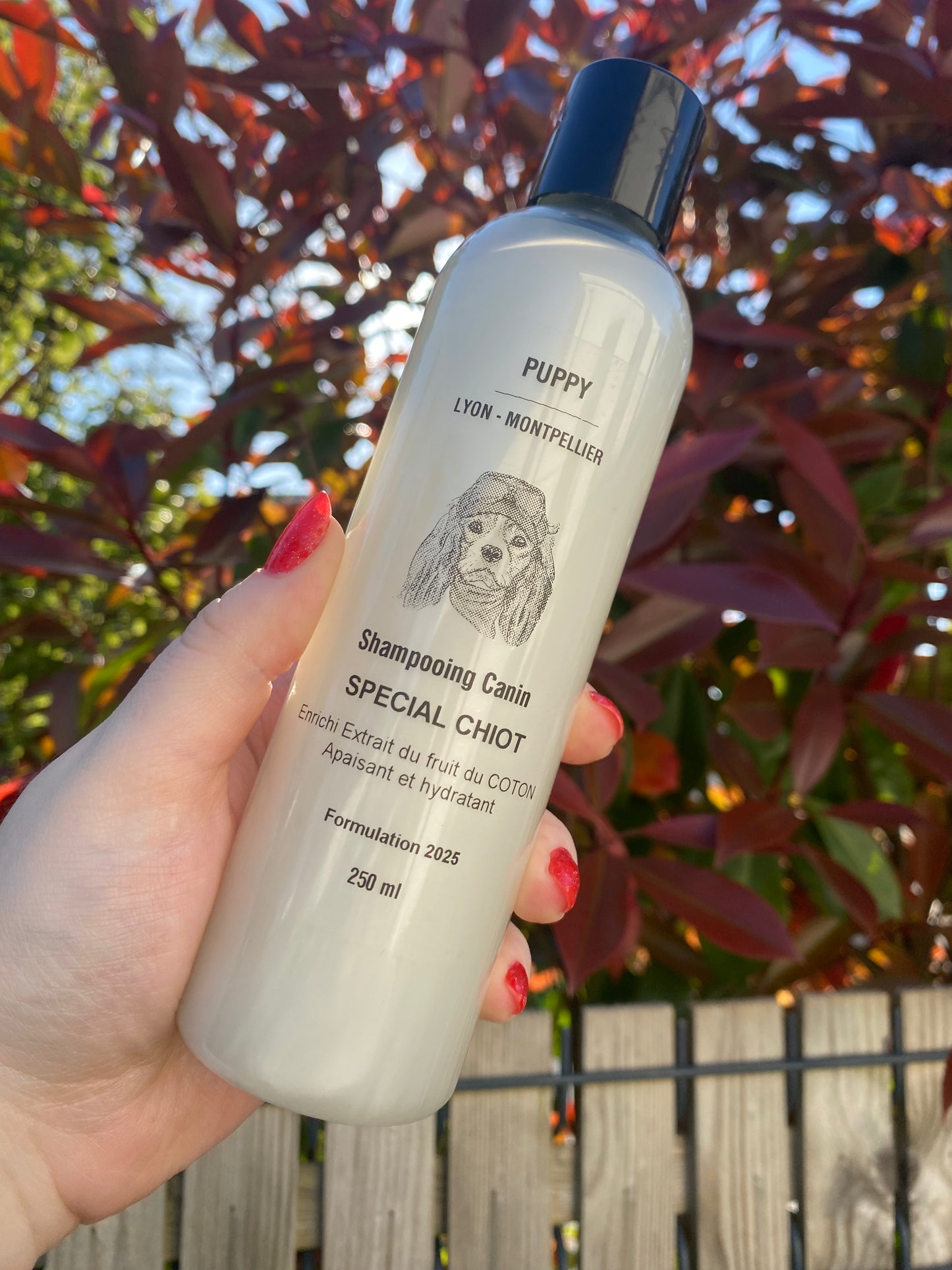 Shampoing spécial chiot
