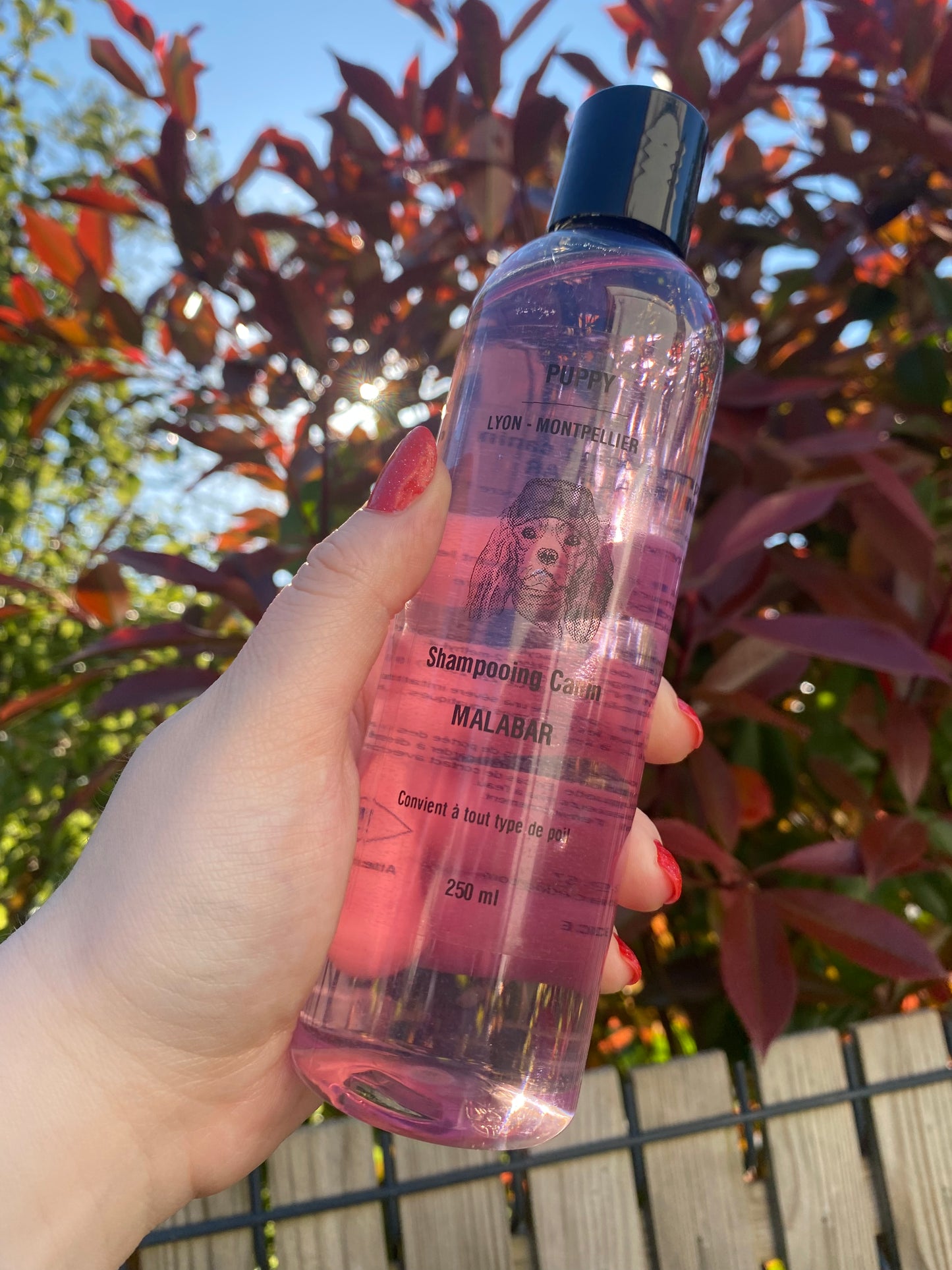 Shampoing malabar