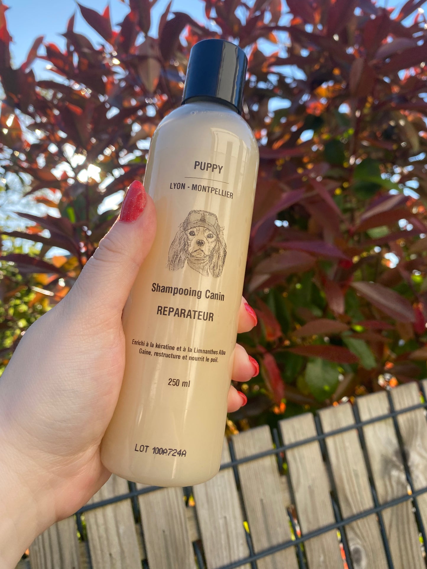 Shampoing réparateur