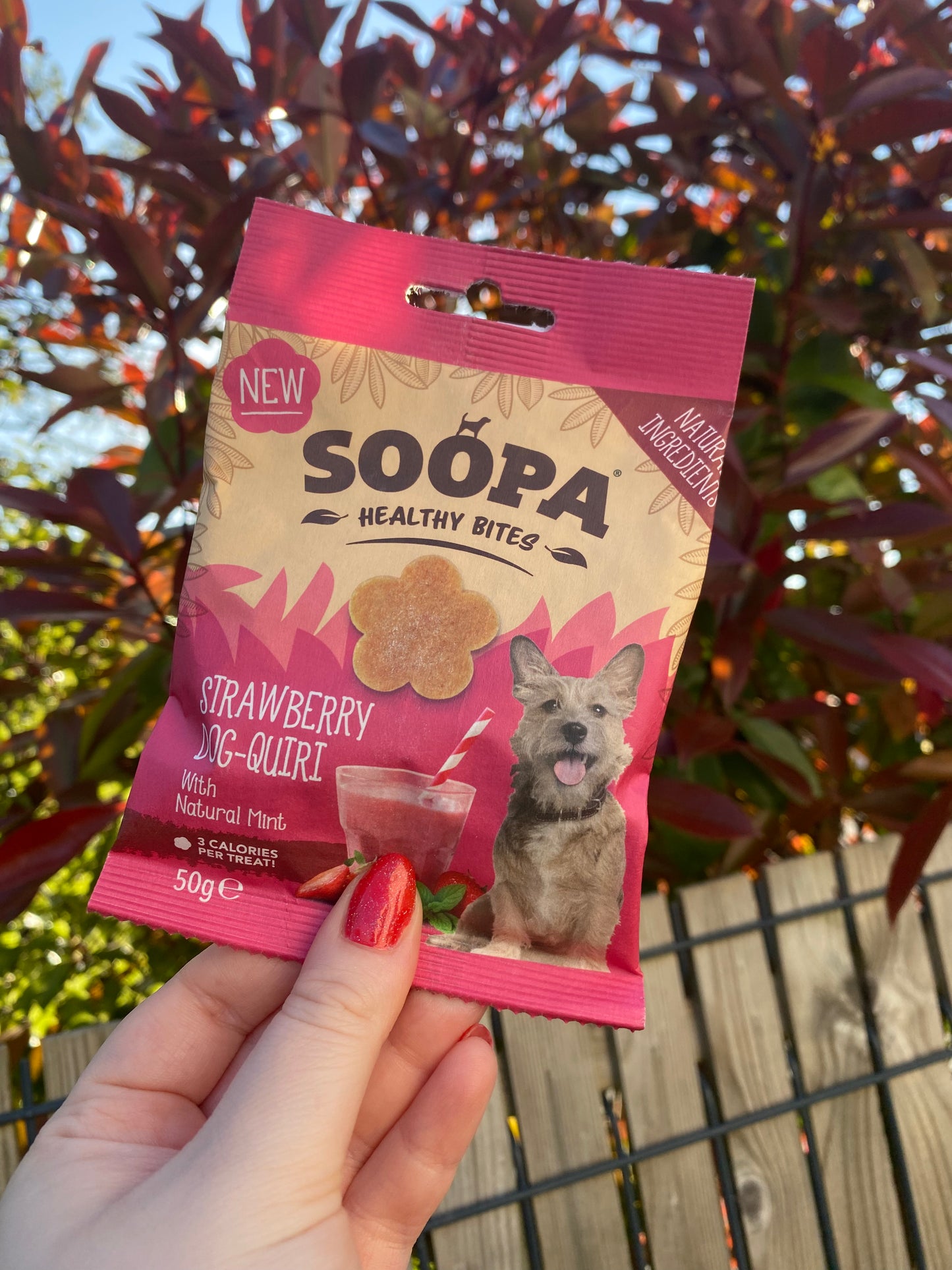 Friandises pour chien - Fraise et menthe