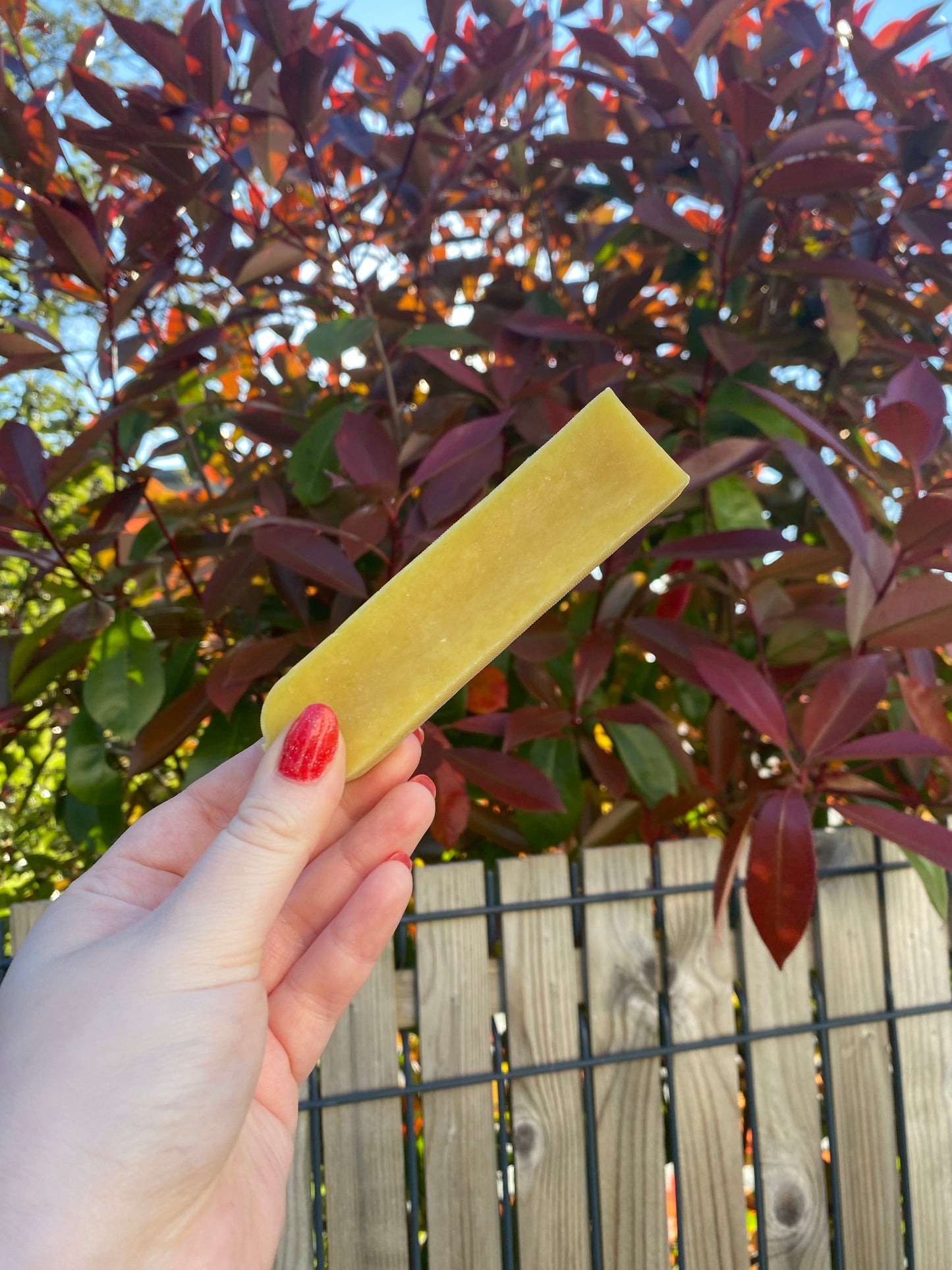 Fromage de Yak - Curcuma et ashwagandha