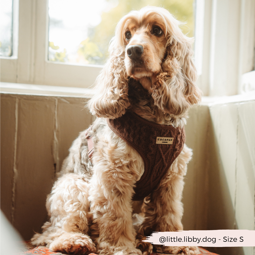 Harnais de cou ajustable en tricot torsadé - Hot Coco