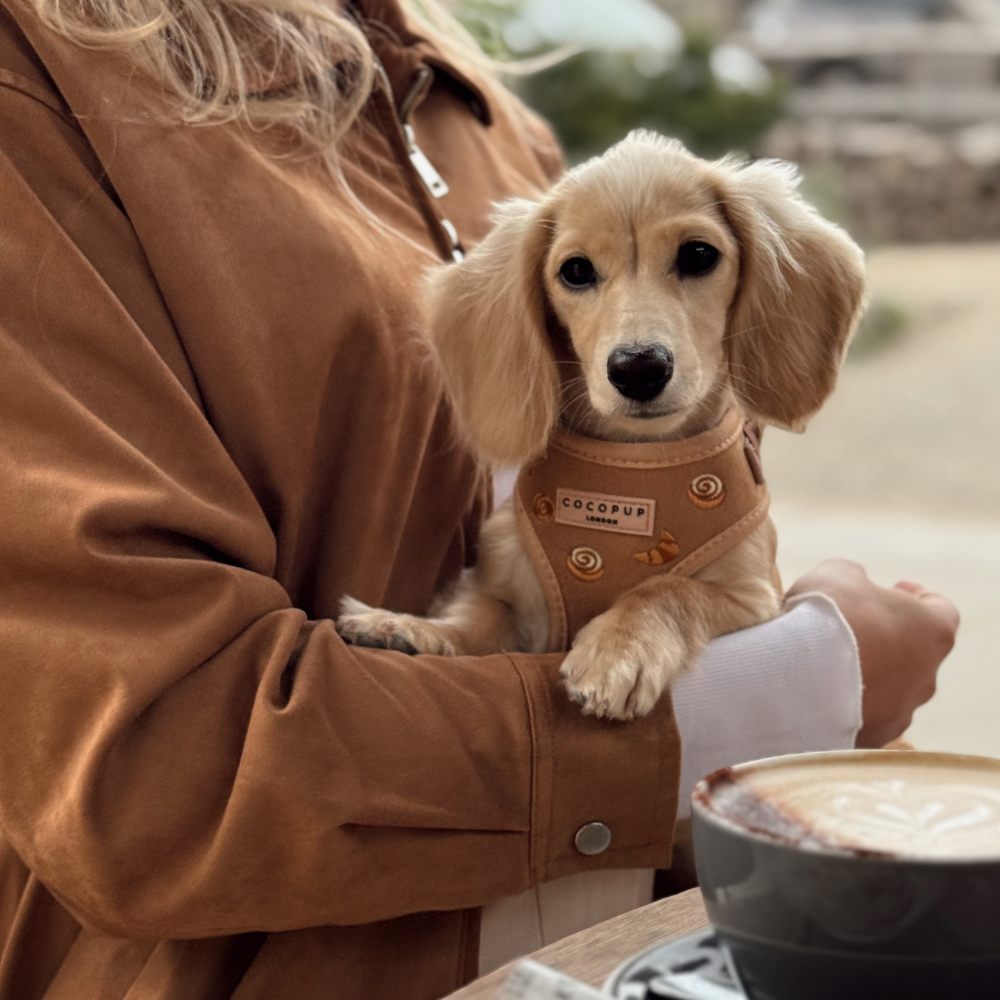 Harnais réglable pour le cou Pawtisserie