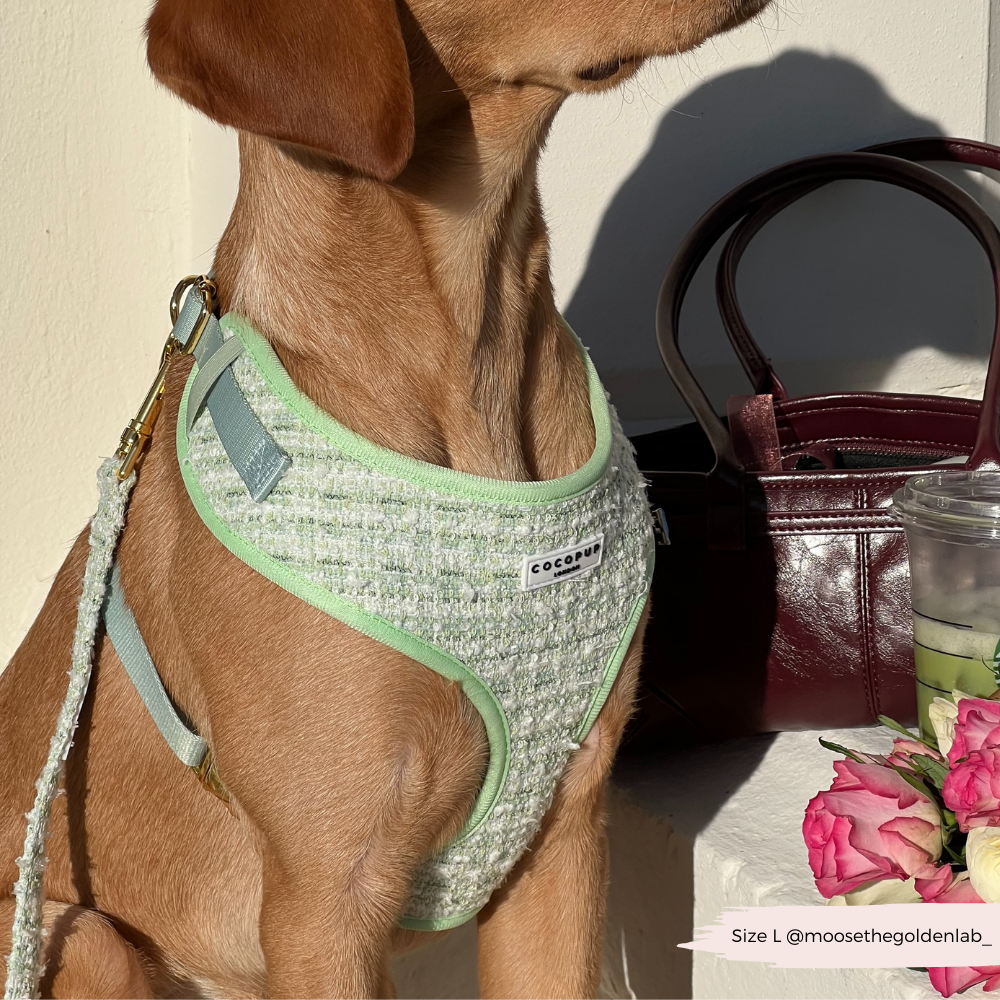 Harnais en tweed texturé Matcha