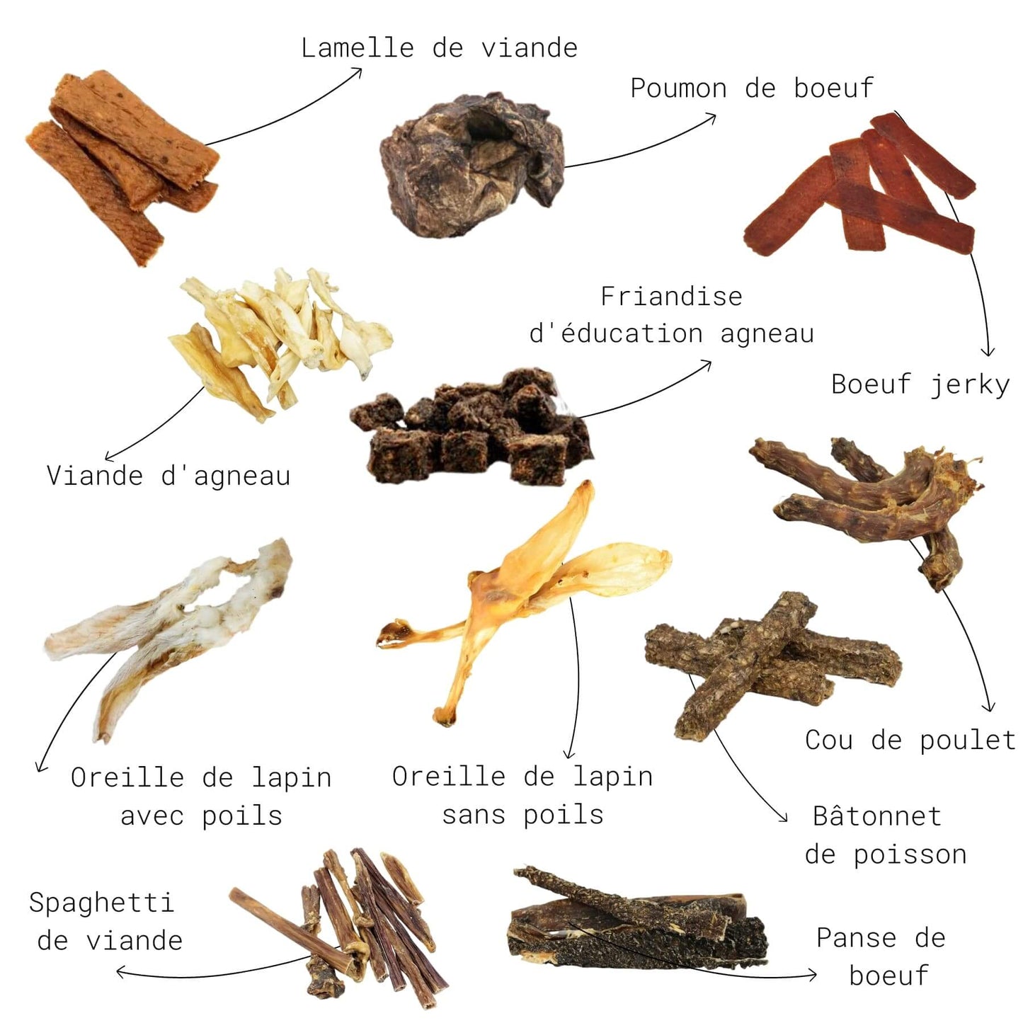 Box de mastication sans effort