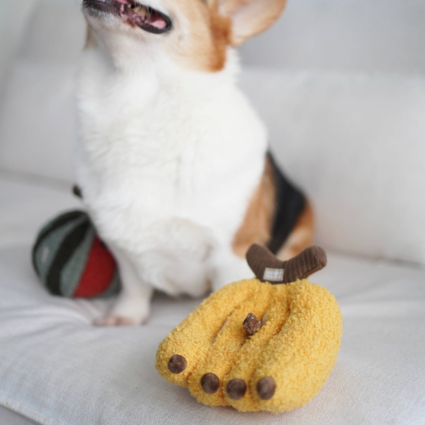 Les Bananes
