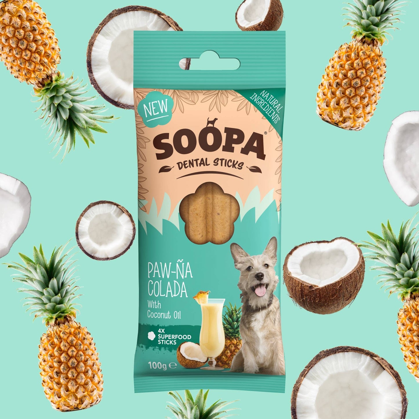 Bâtonnets Dentaires pour Chiens Saveur Coco et Ananas