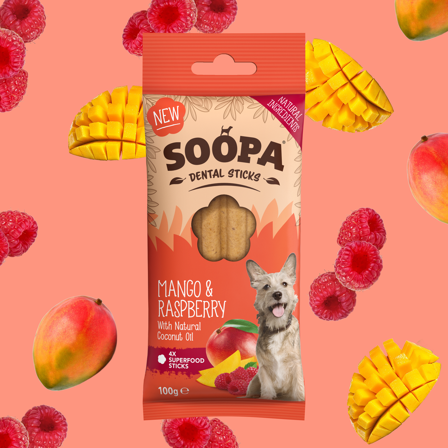 Bâtonnets Dentaires pour Chiens à la Mangue et à la Framboise