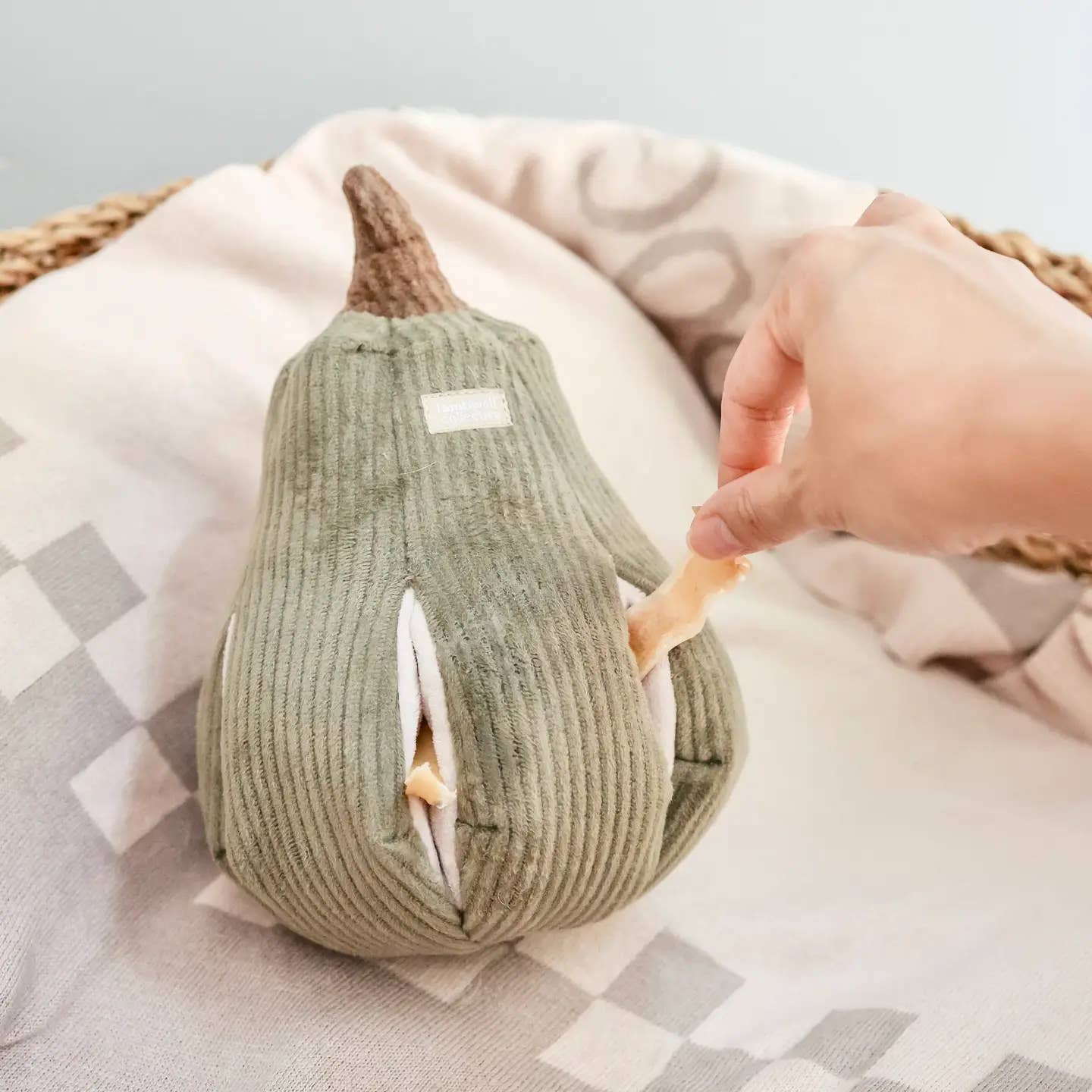 Le Butternut