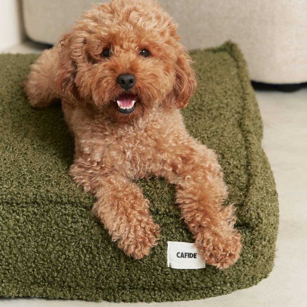 Lit pour chien en effet bouclette vert, Cuadra