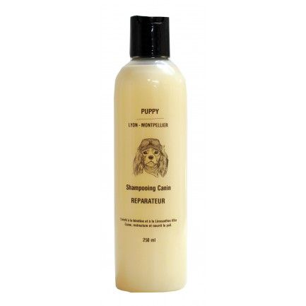 Shampoing réparateur