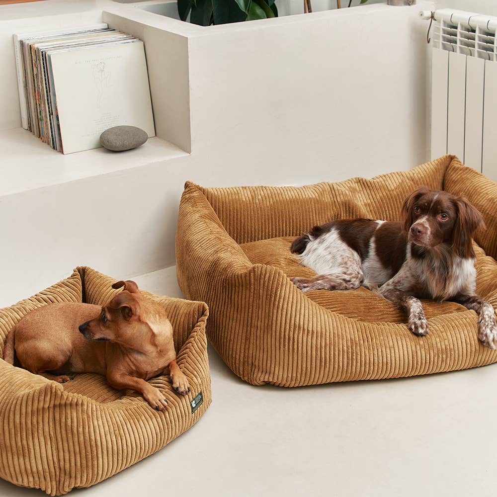 Lit pour chien en velours côtelé moutarde, Snozy