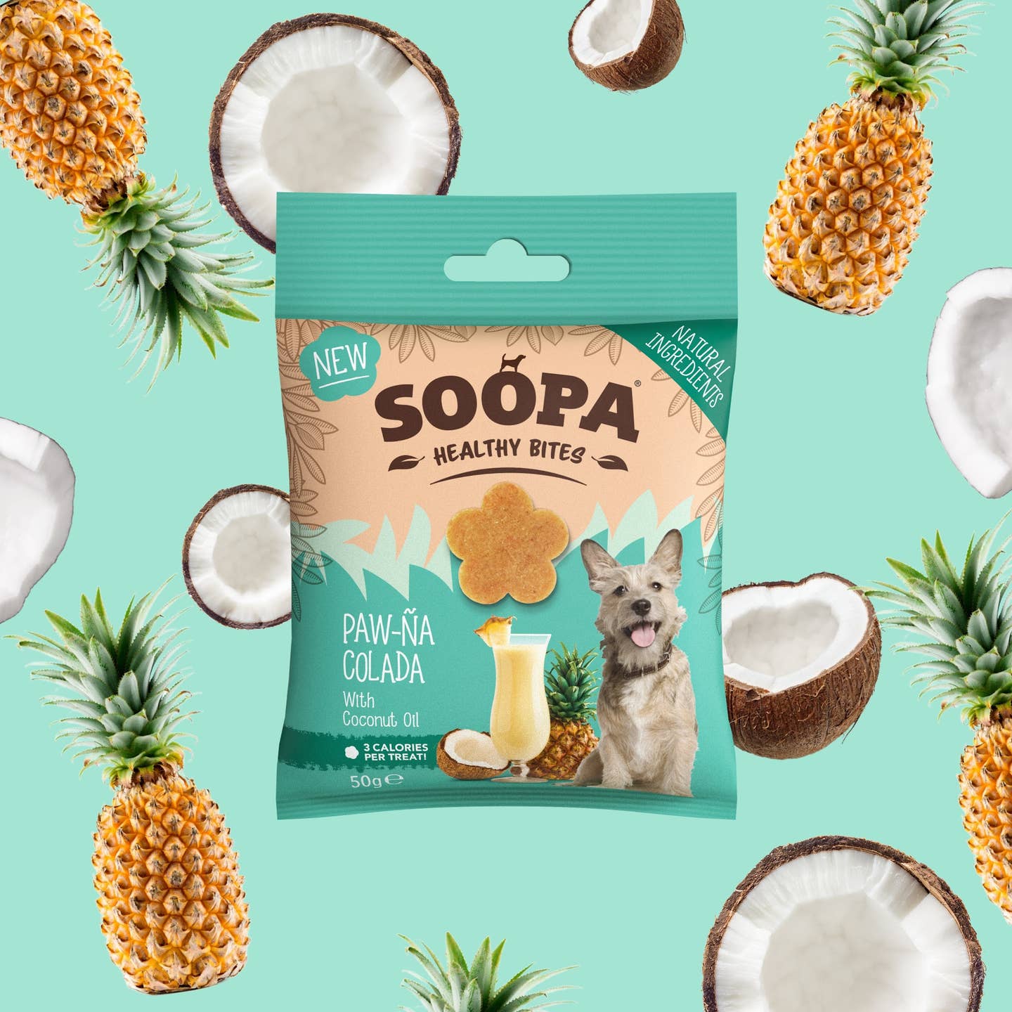 Friandises pour chiens - Noix de coco et ananas