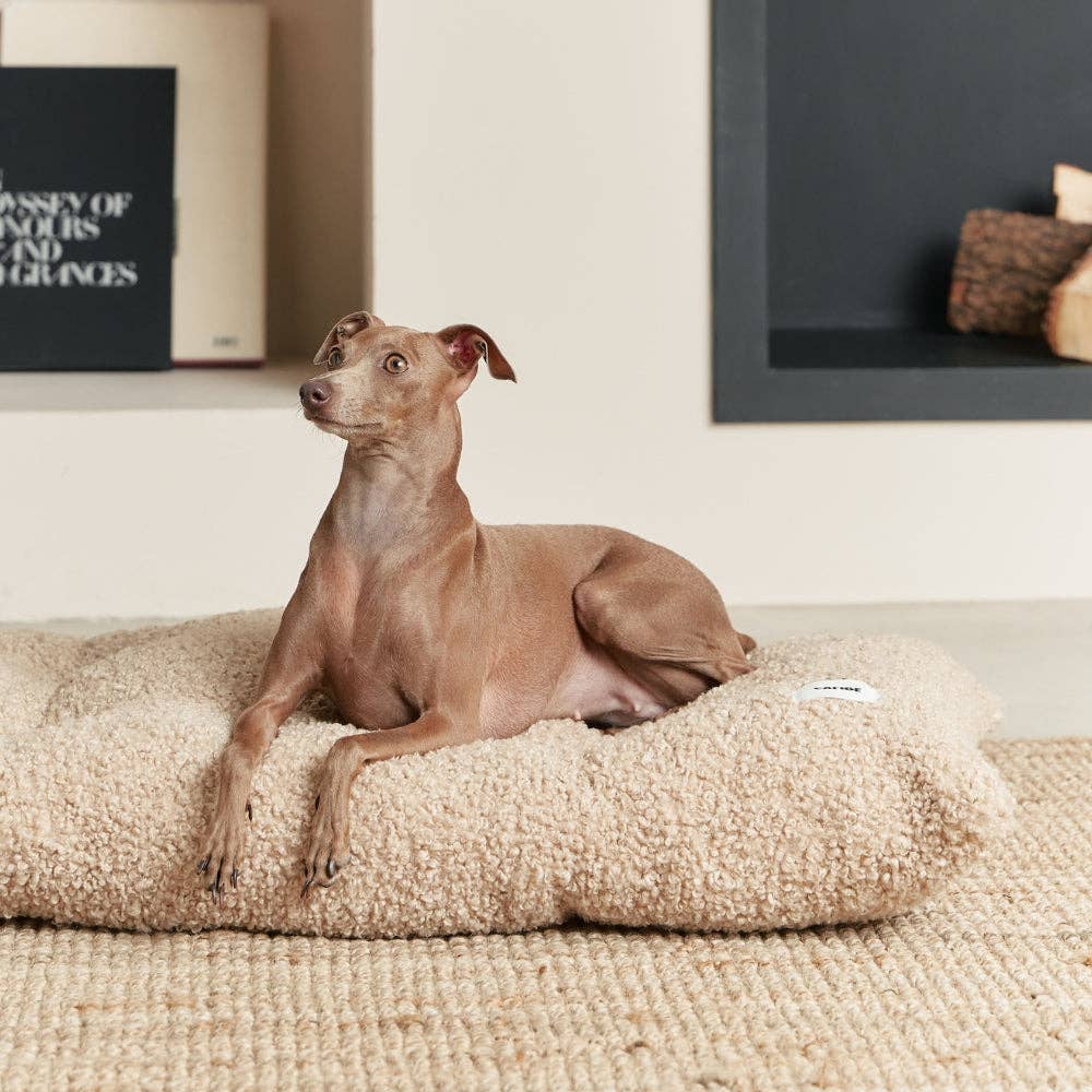 Coussin pour chien en bouclette beige, Bela