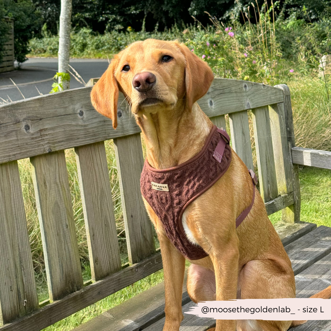 Harnais de cou ajustable en tricot torsadé - Hot Coco