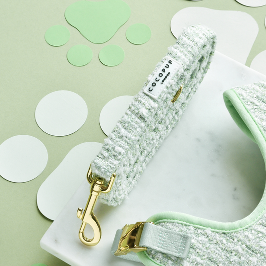 Laisse en tweed texturé Matcha