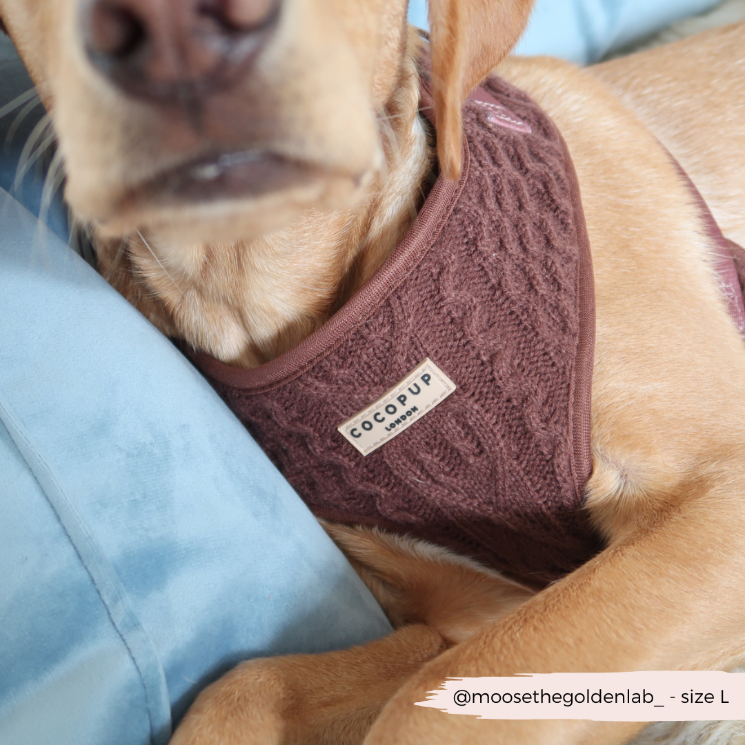 Harnais de cou ajustable en tricot torsadé - Hot Coco