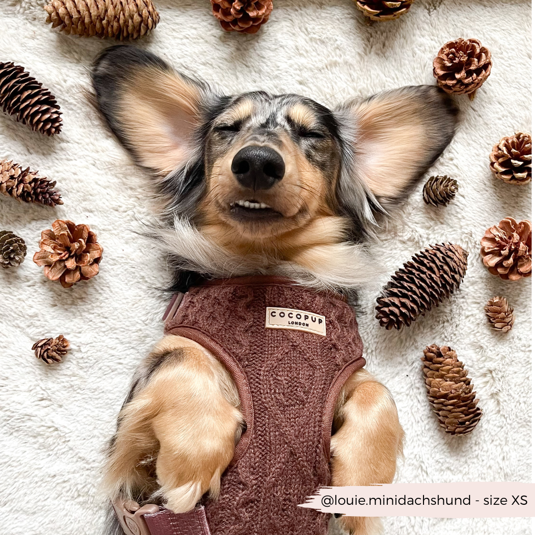 Harnais de cou ajustable en tricot torsadé - Hot Coco