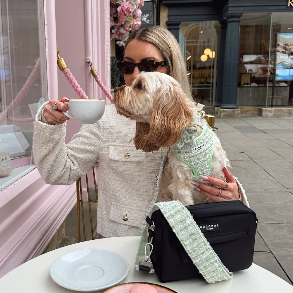Harnais en tweed texturé Matcha