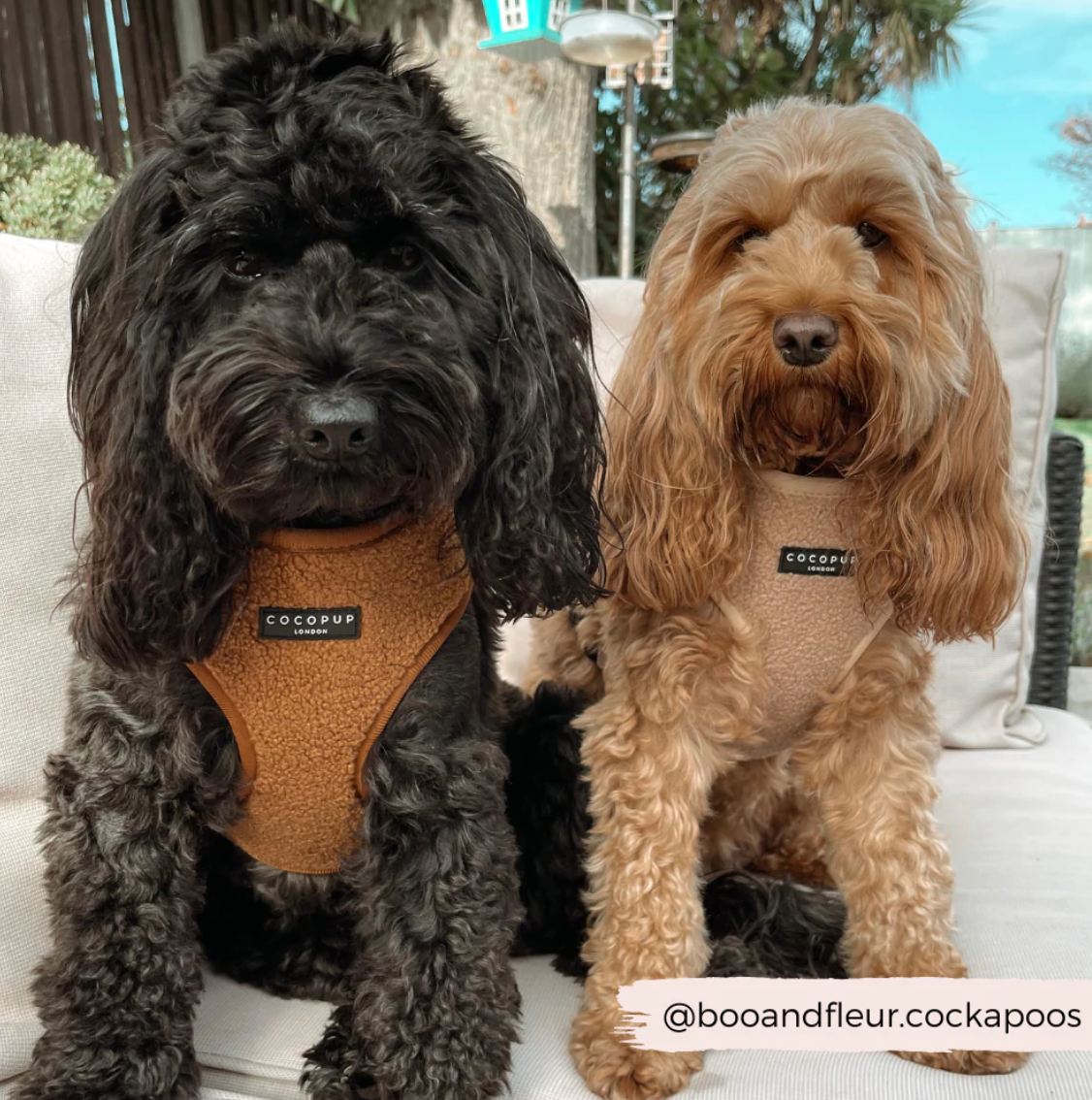 Harnais de cou ajustable Teddy - Paddington