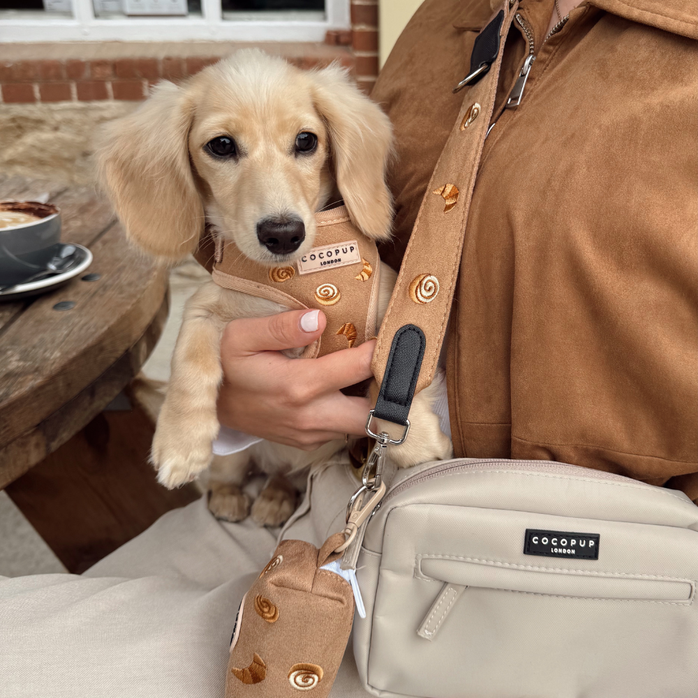 Harnais réglable pour le cou Pawtisserie