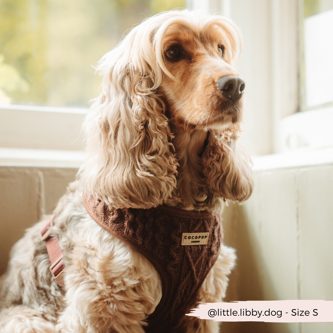 Harnais de cou ajustable en tricot torsadé - Hot Coco