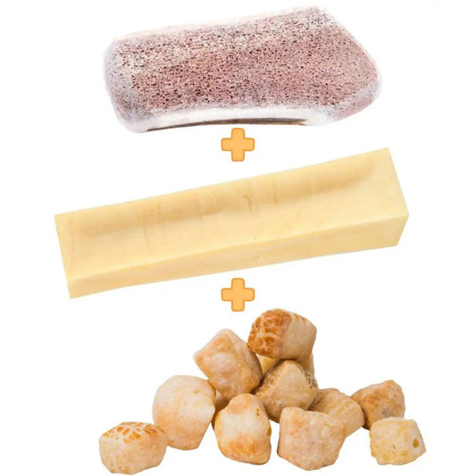 Box de mastication pour chiot