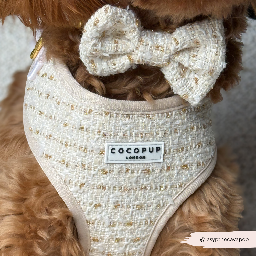 Harnais à col réglable en tweed texturé vanille