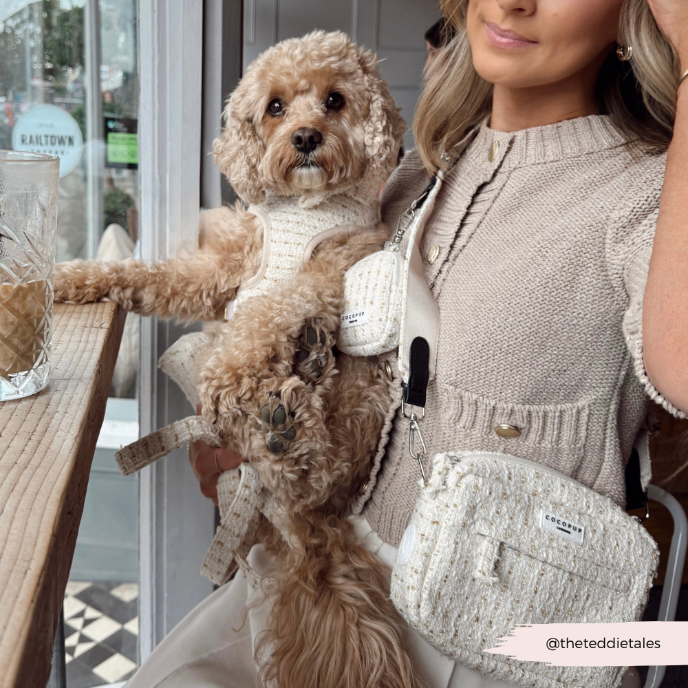 Harnais à col réglable en tweed texturé vanille