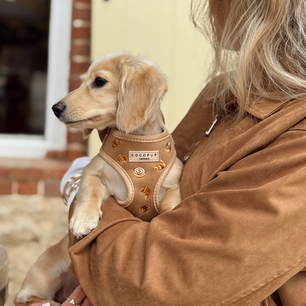 Harnais réglable pour le cou Pawtisserie