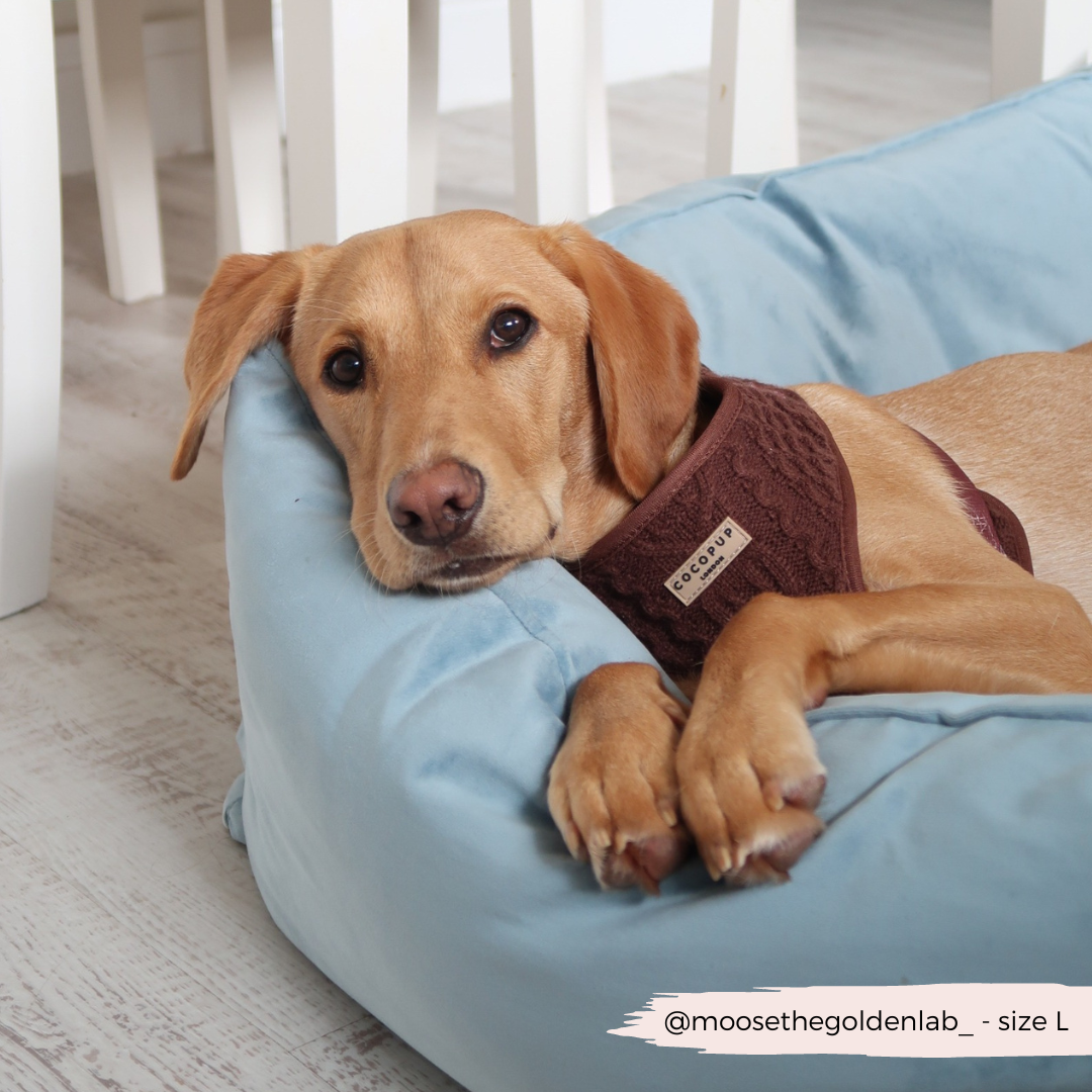 Harnais de cou ajustable en tricot torsadé - Hot Coco