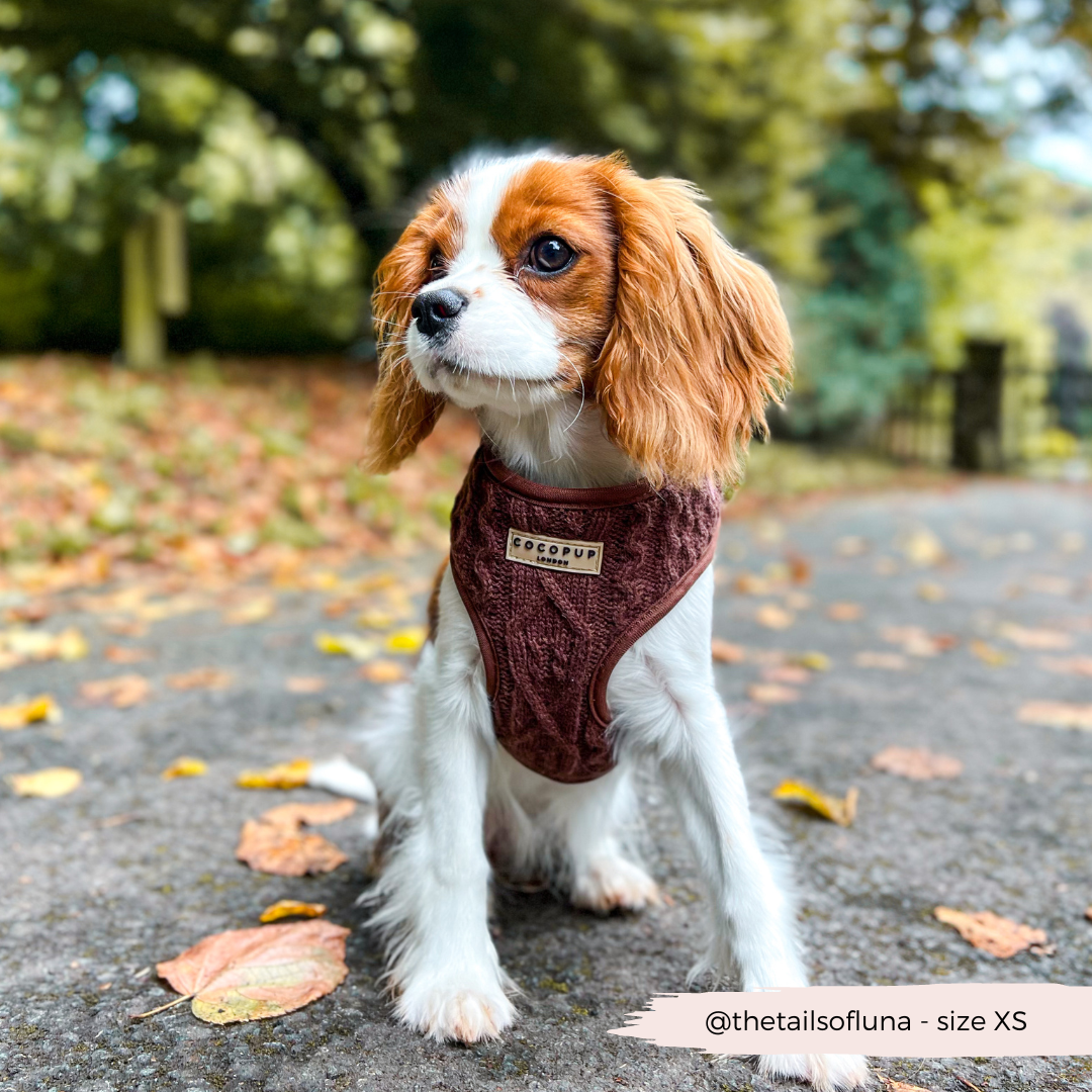 Harnais de cou ajustable en tricot torsadé - Hot Coco