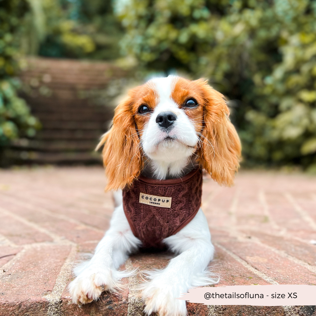 Harnais de cou ajustable en tricot torsadé - Hot Coco