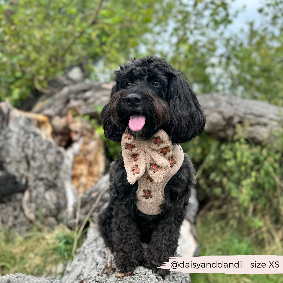 Harnais de cou ajustable Theo brodé Teddy