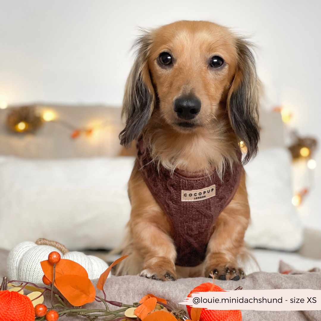 Harnais de cou ajustable en tricot torsadé - Hot Coco