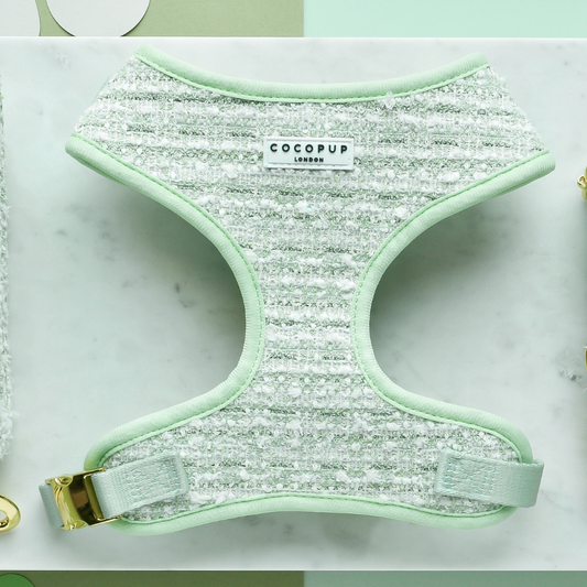 Harnais en tweed texturé Matcha